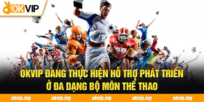 THỂ THAO 第98页