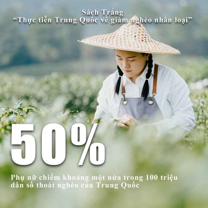 nổ hũ chuyên nghiệp Quảng Ninh đánh giá